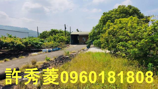 高雄阿蓮農地-2