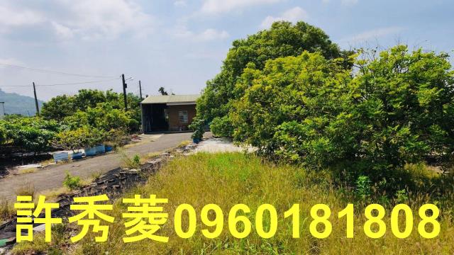 高雄阿蓮農地-4