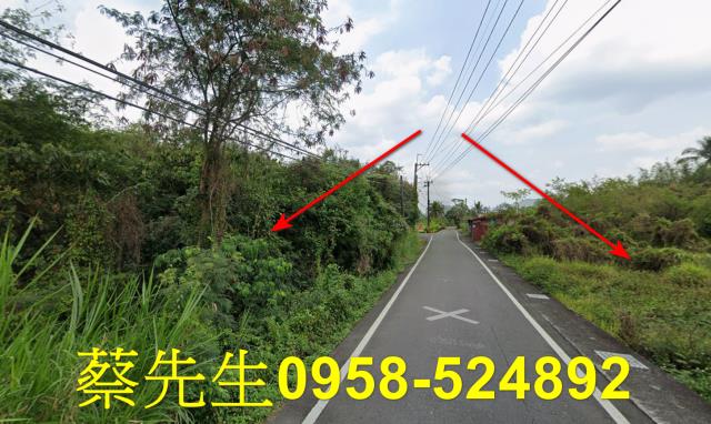 內門拍賣農地-13