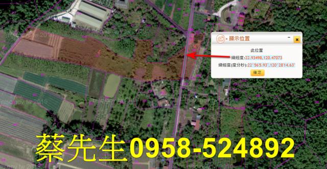 內門拍賣農地-3