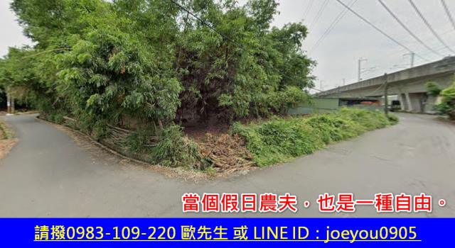 大社農地法拍-3