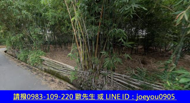 大社農地法拍-4