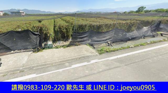 高雄美濃農地拍賣-4
