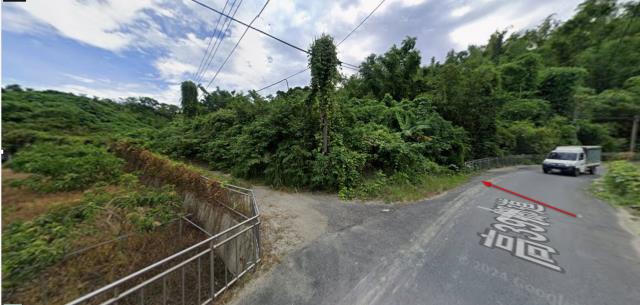 高雄田寮法拍農地-12