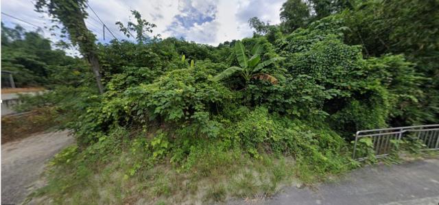 高雄田寮法拍農地-1