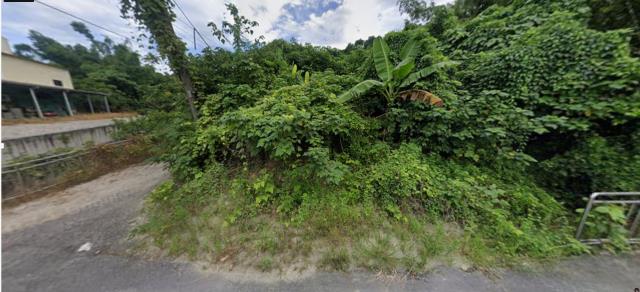 高雄田寮法拍農地-9