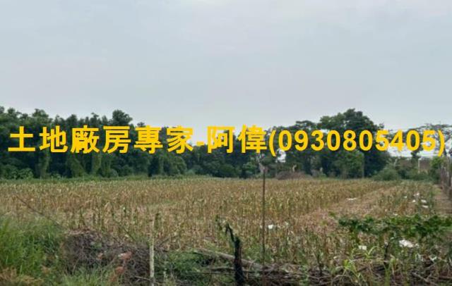 高雄農地-1