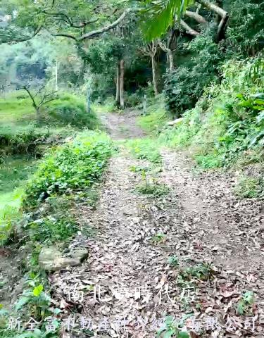 高雄杉林農地-2