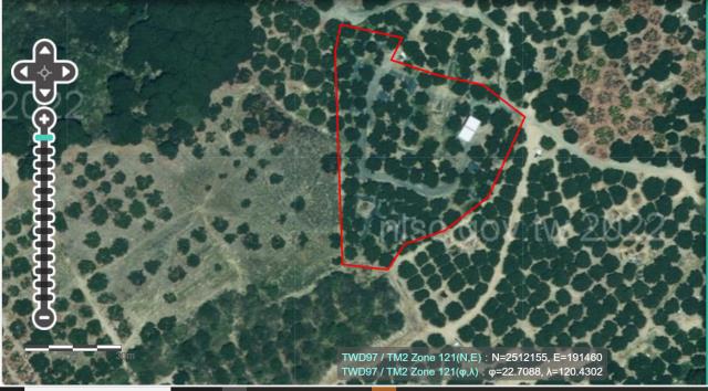 大樹法拍農地-2