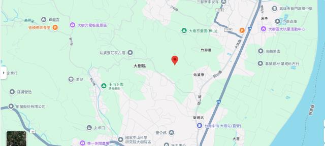 大樹法拍農地-4