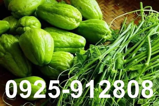 高雄橋頭農地-1