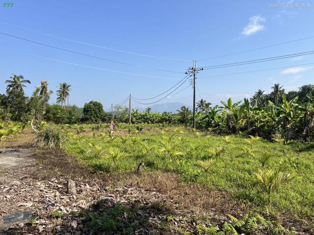 高雄旗山農地-8